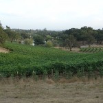 mw_image_05